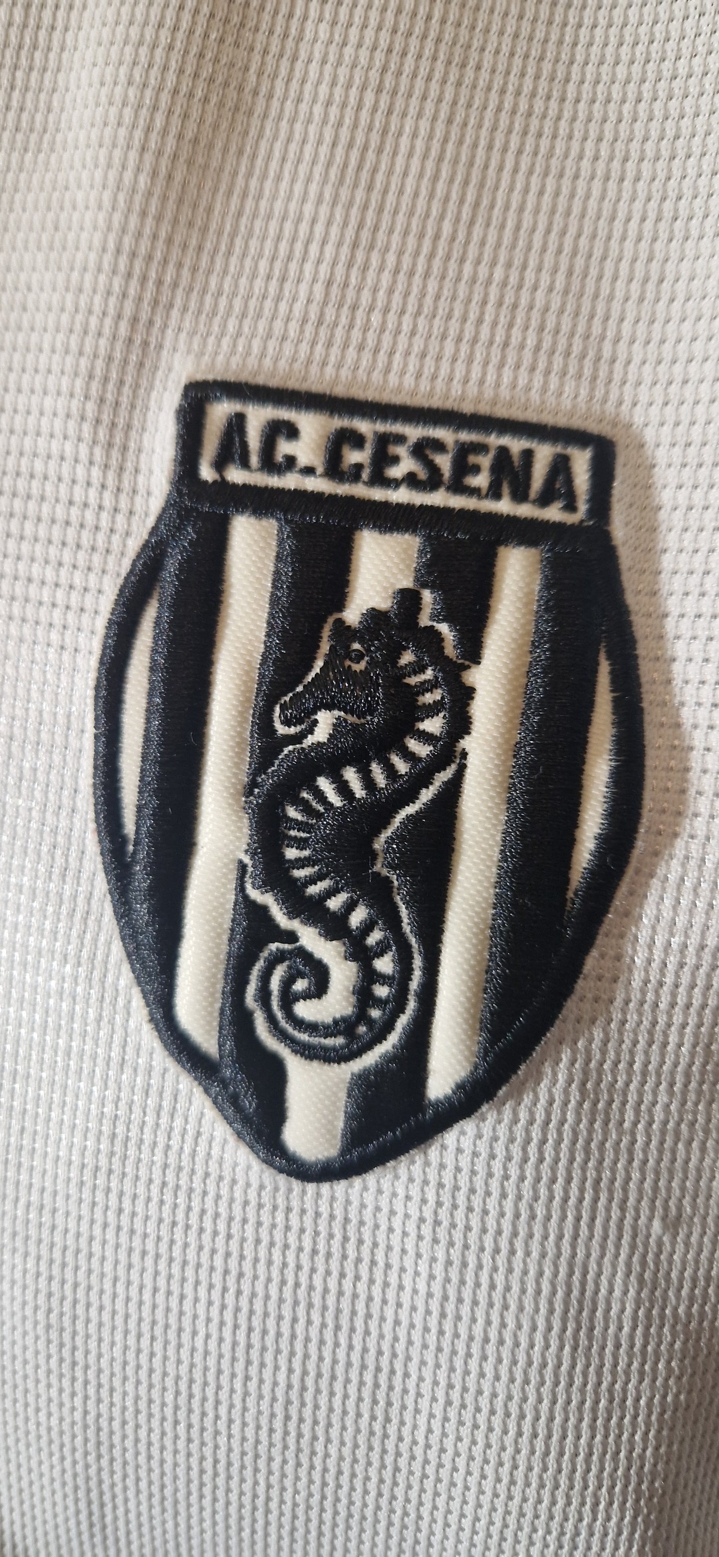 AC Cesena - 2004/05