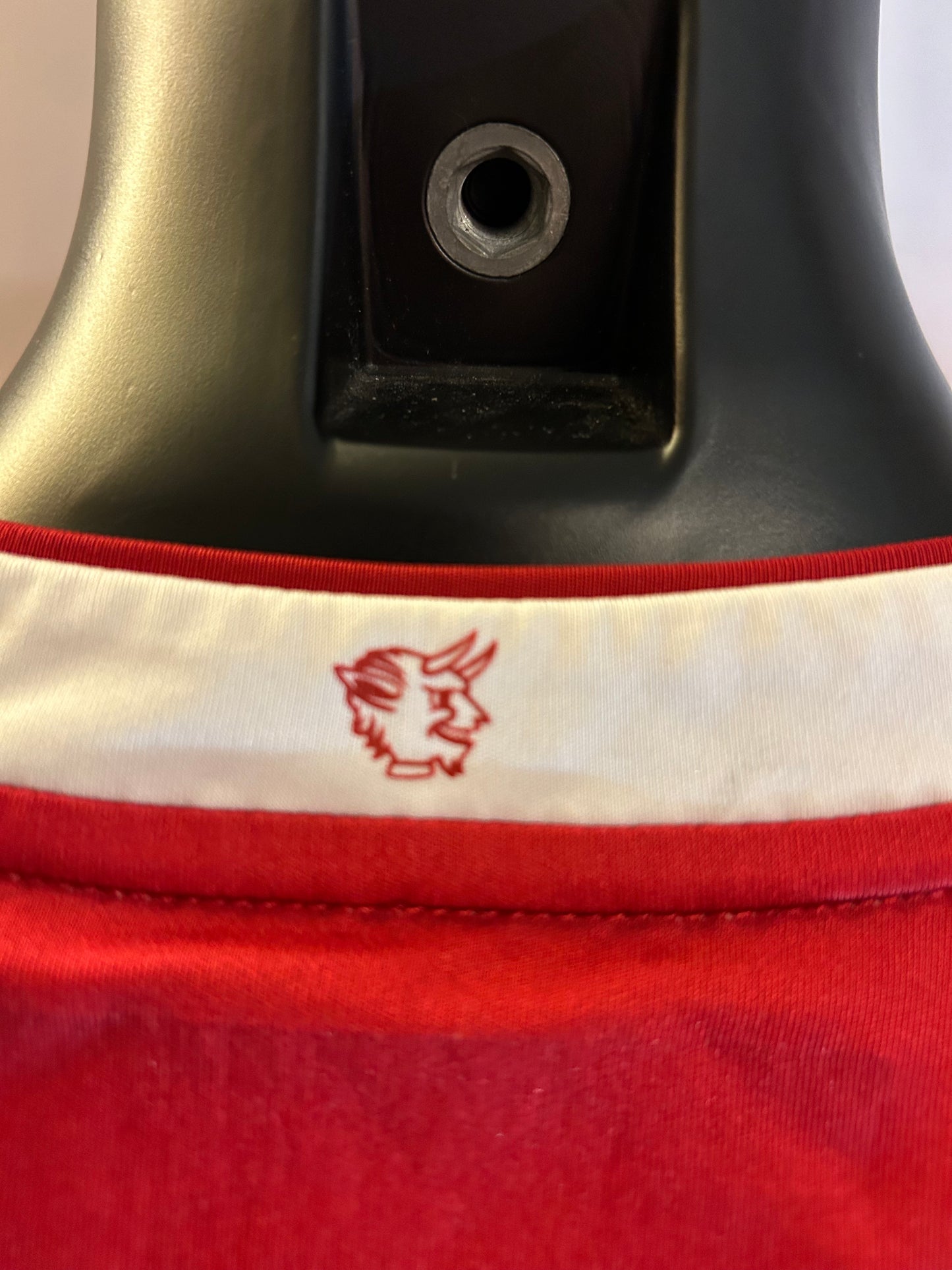 FC Kaiserslautern - 2018/19