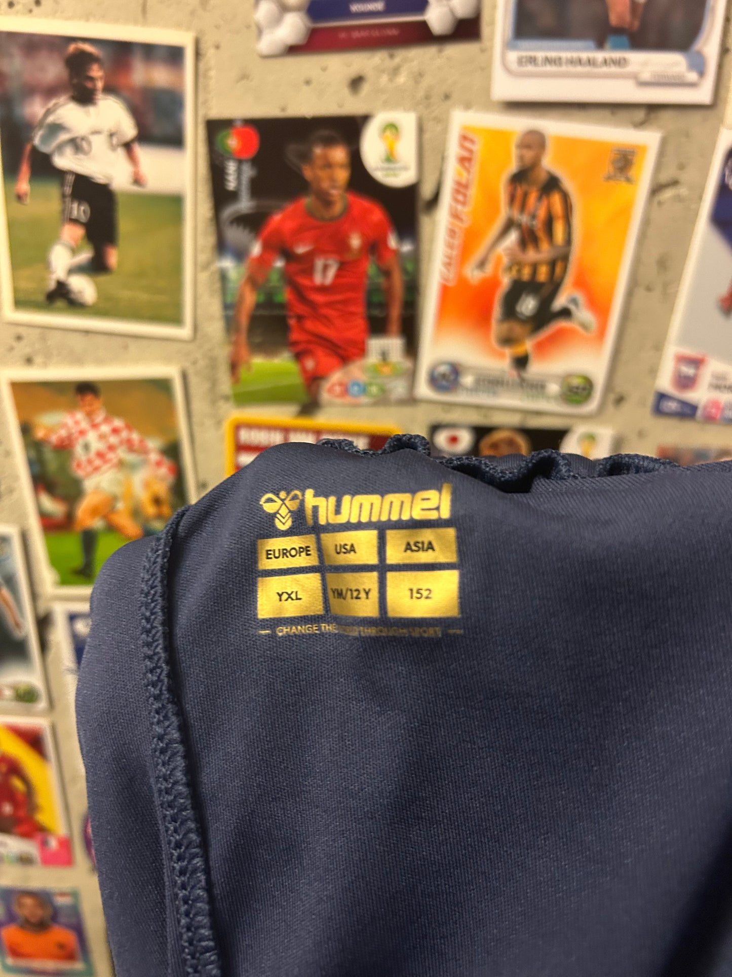 AFC Wimbledon - Shorts (12-13år)