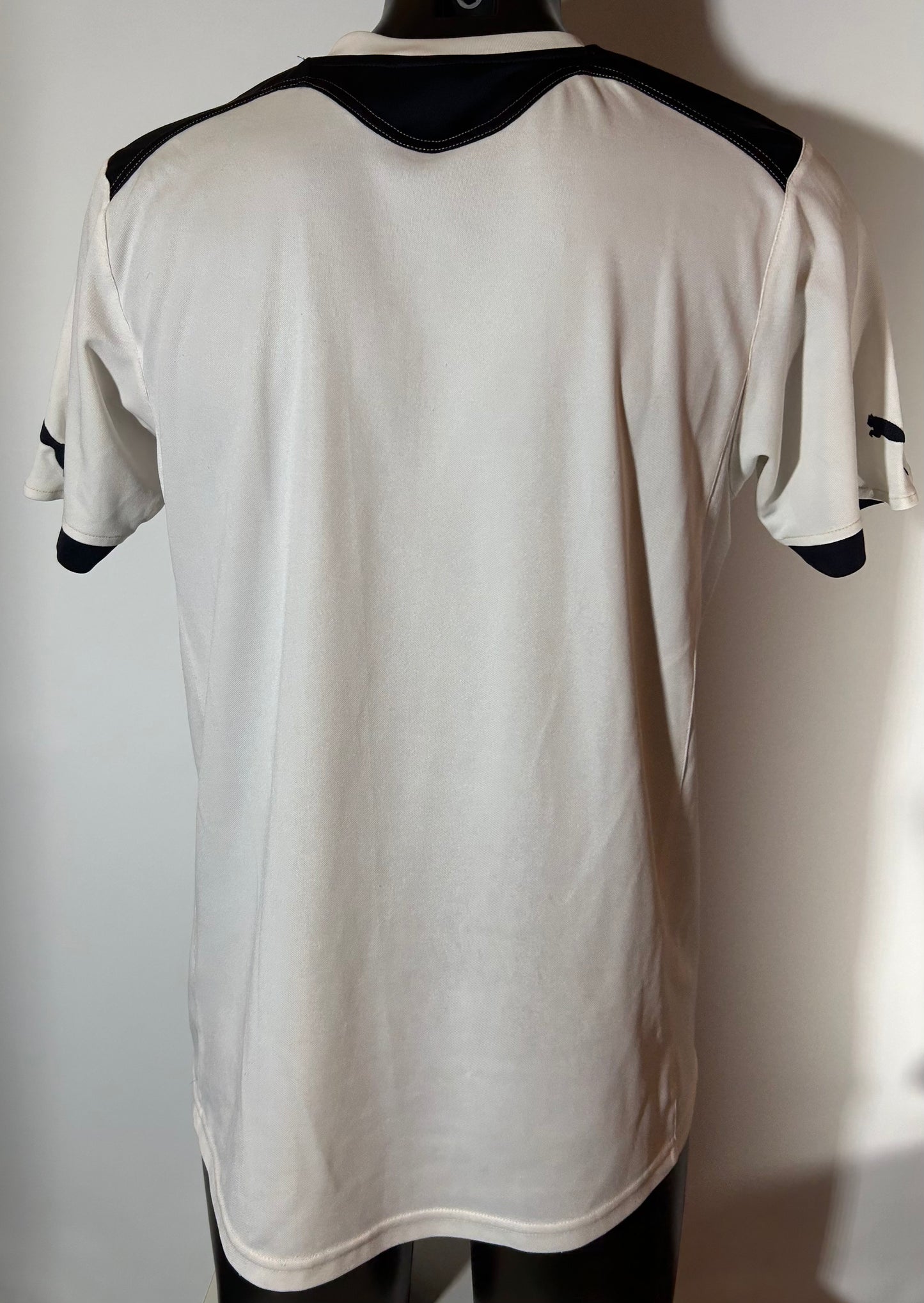 Tottenham Hotspurs - 2010/11