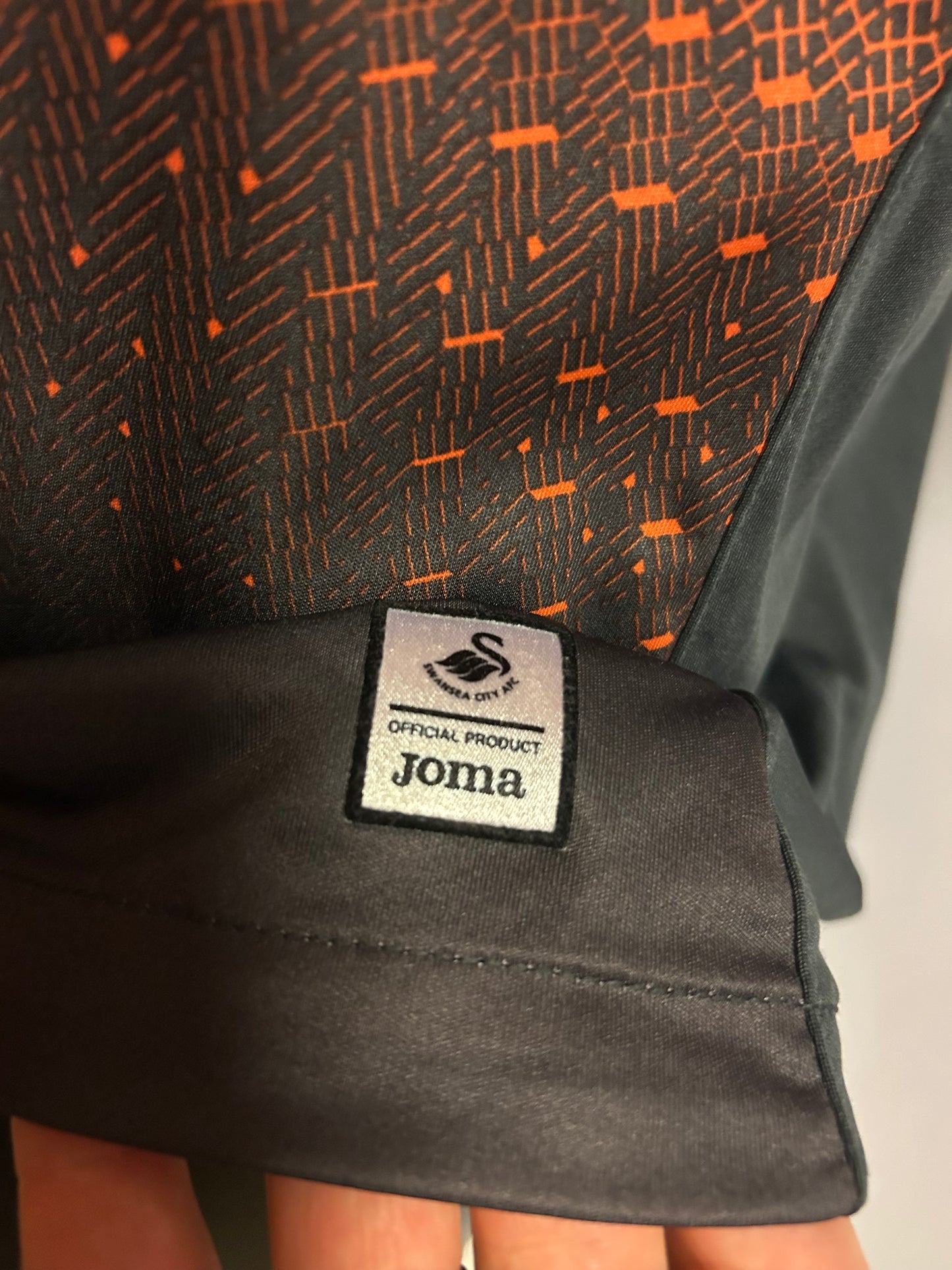 Swansea - 2018/19 (M)