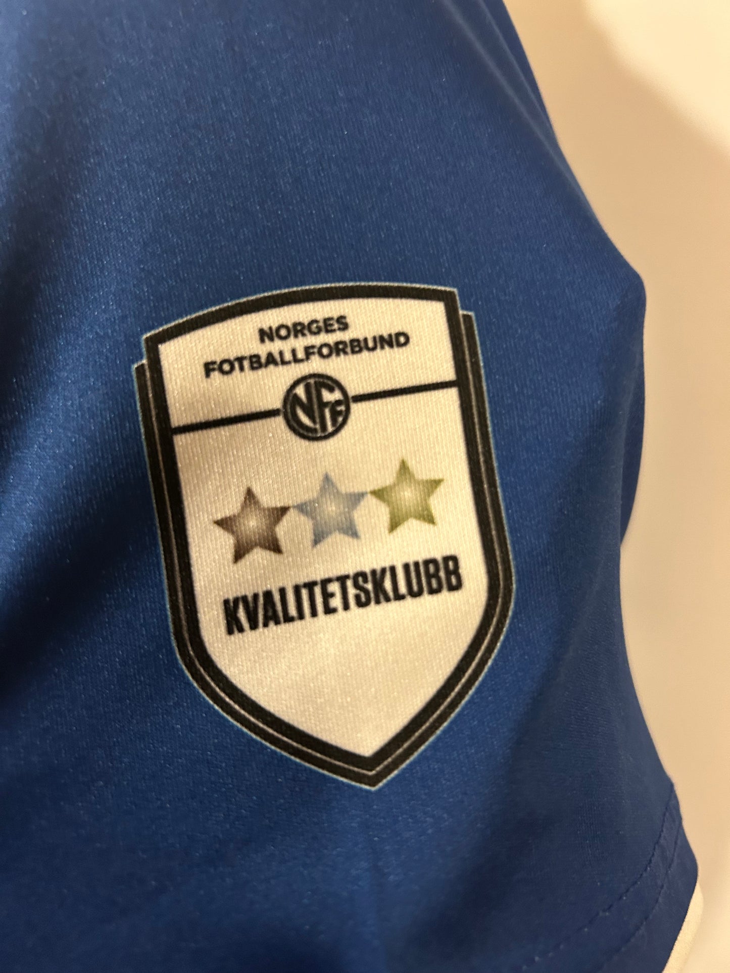 Vindbjart FK (S)