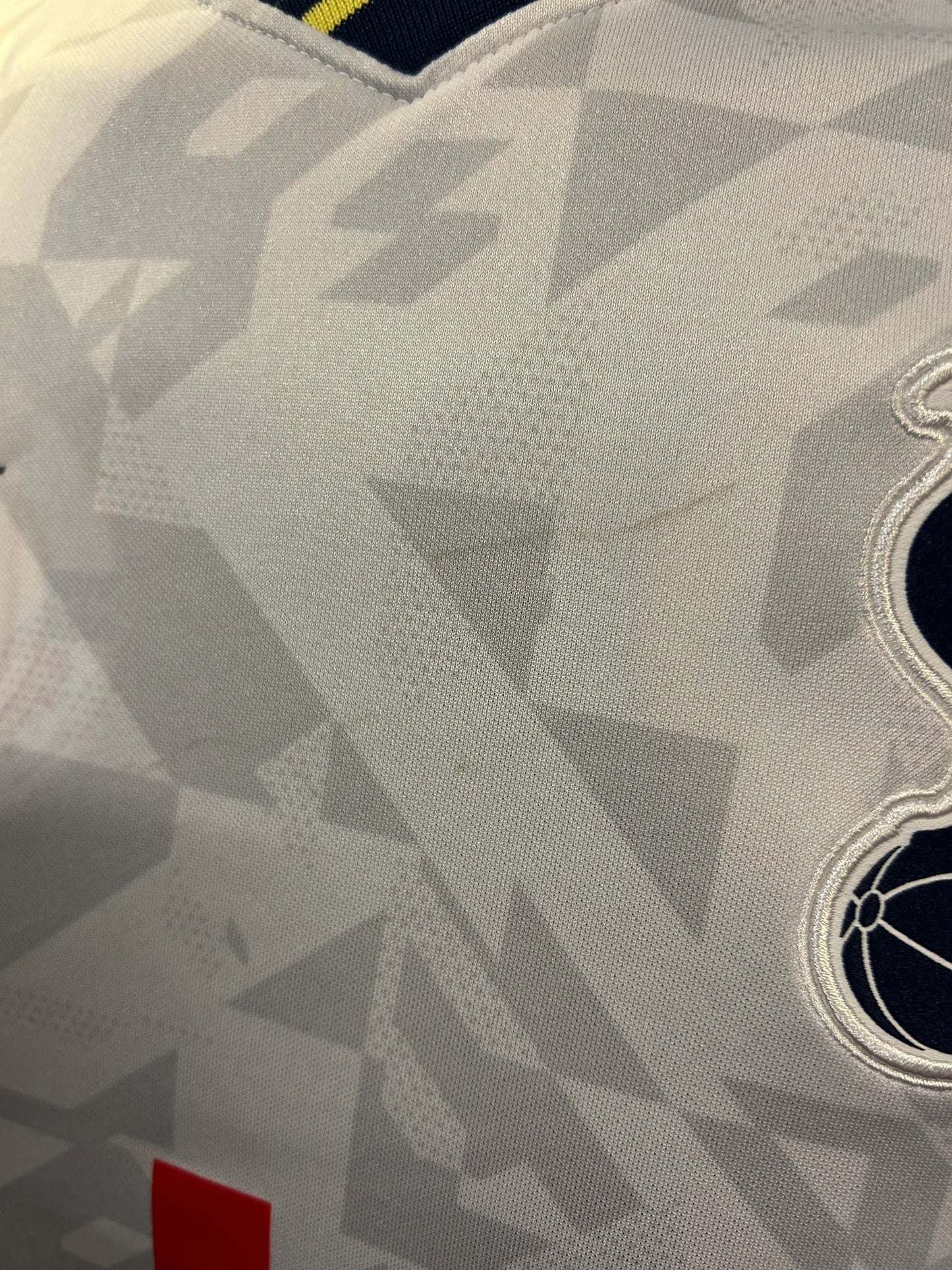 Tottenham Hotspur - 2020/21(S)