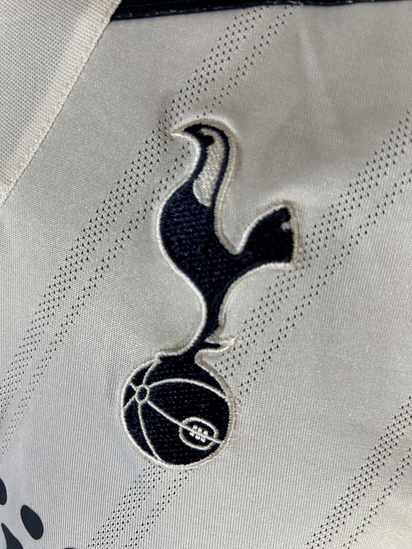 Tottenham Hotspurs - 2010/11