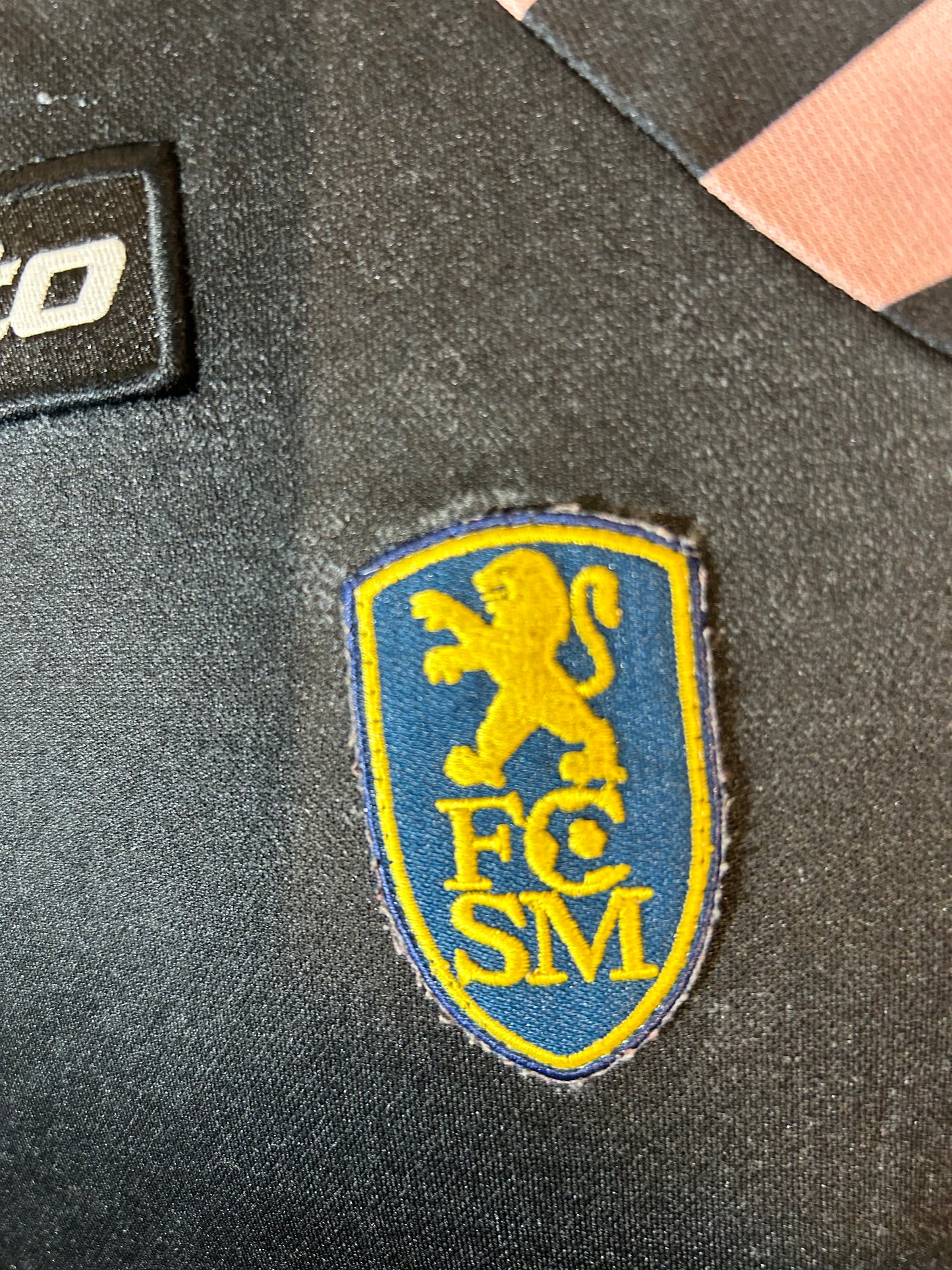 FC Sochaux-Montbéliard - 2007/08
