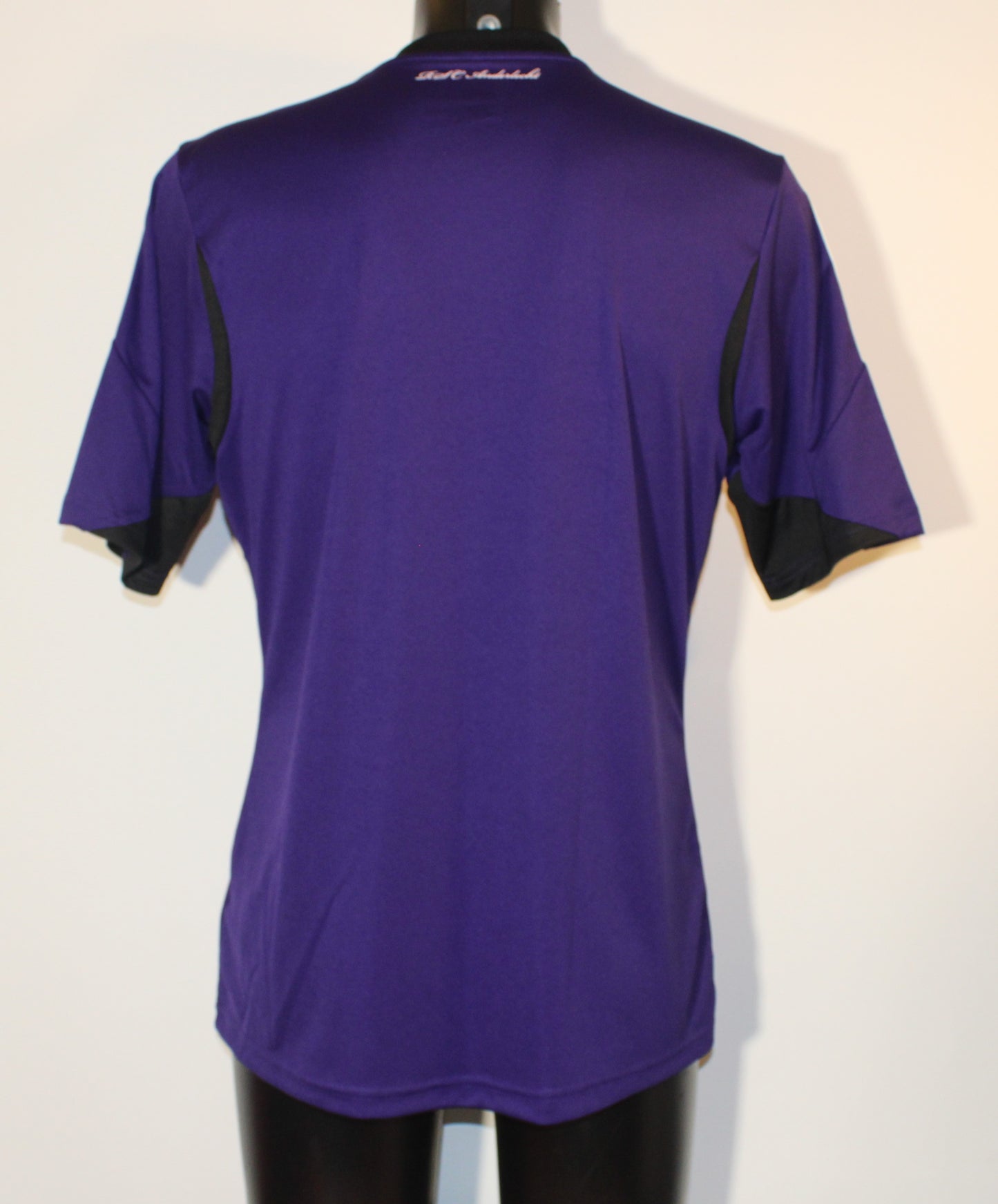 R.S.C Anderlecht - 2013/14