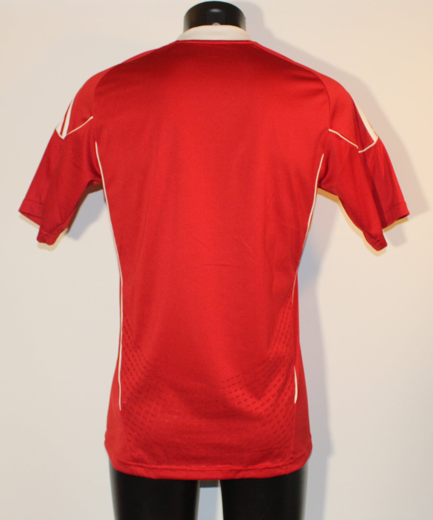Wisla Krakow - 2010/11