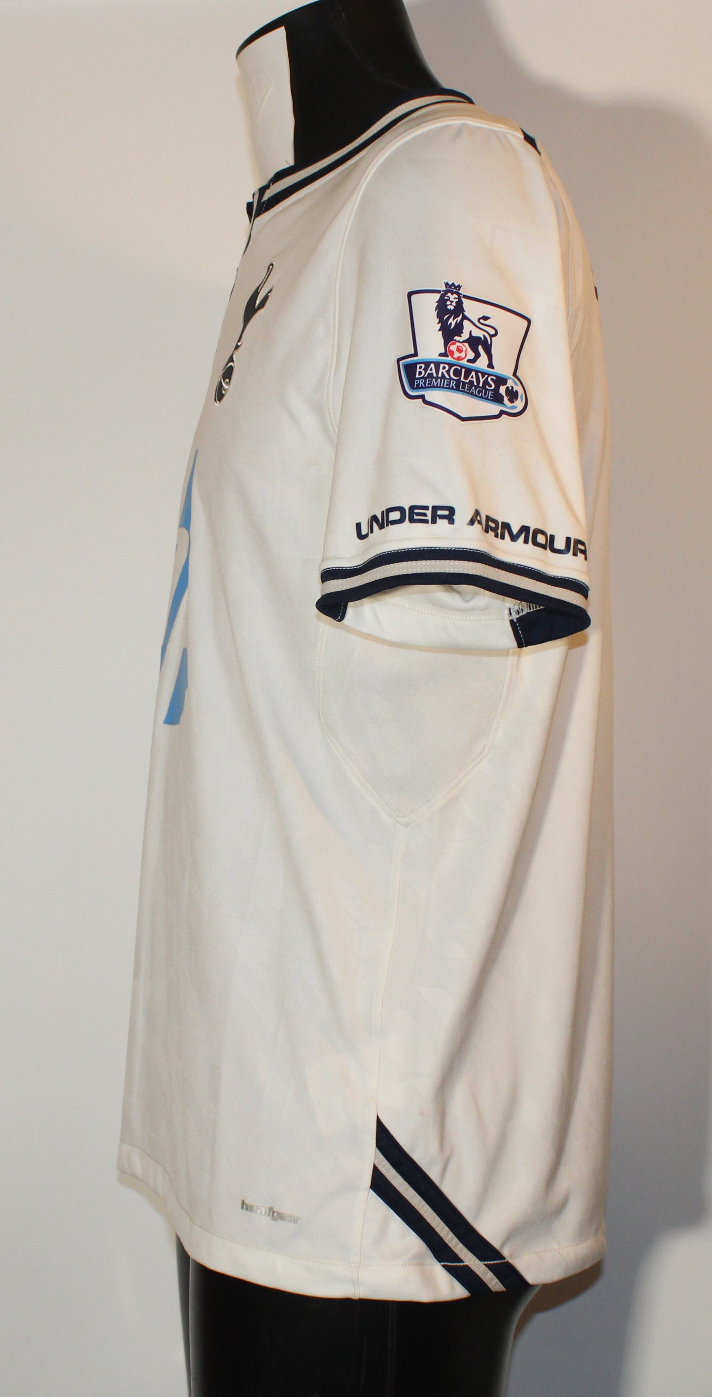 Tottenham Hotspurs - 2013/14