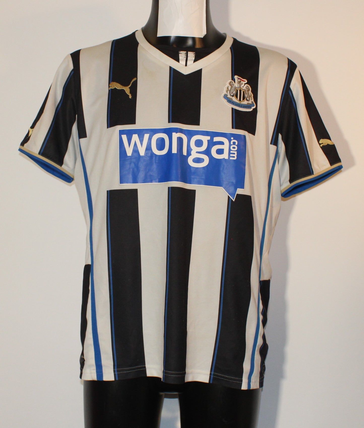Newcastle United - 2013/14