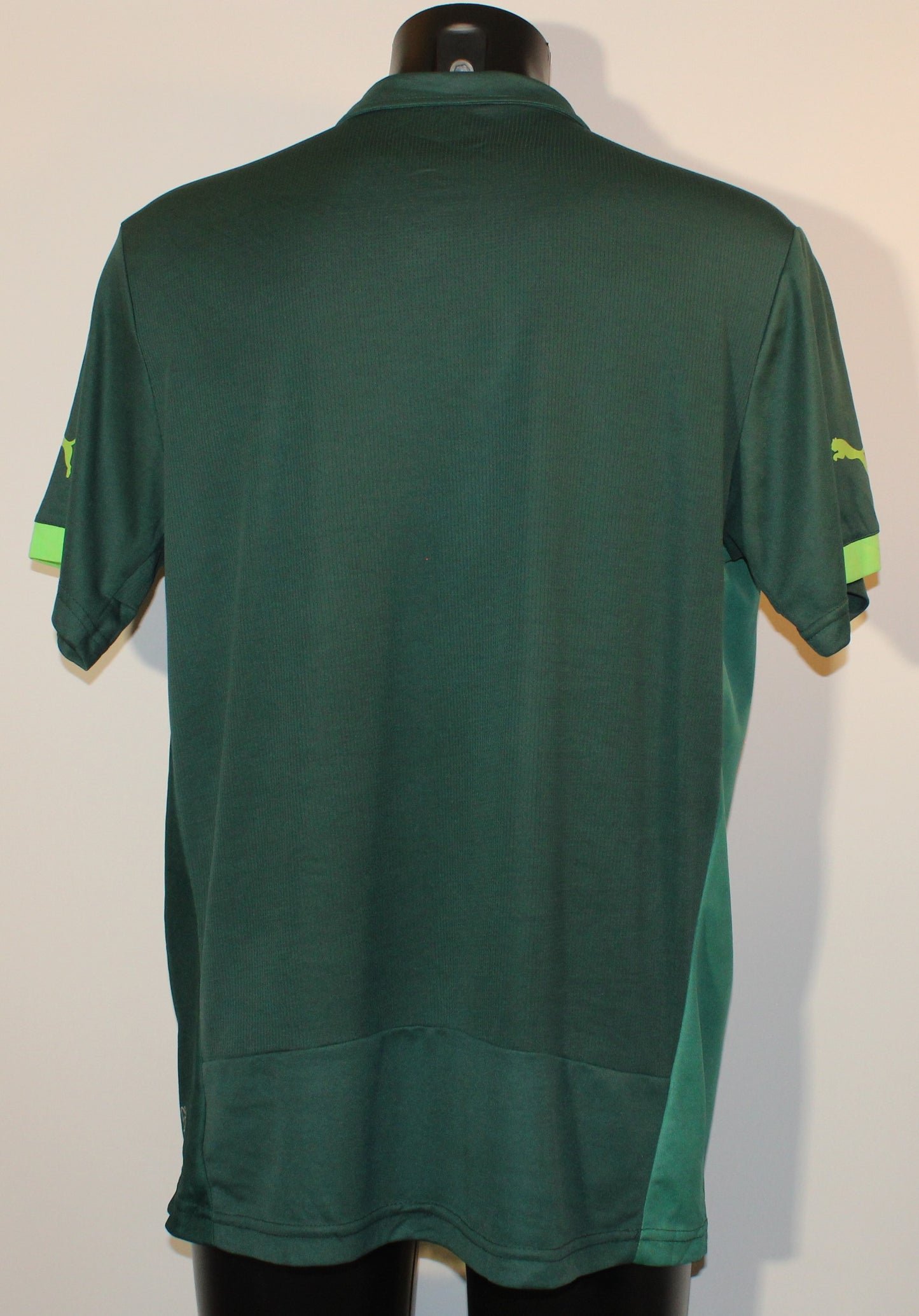 Al-Ahli Saudi - 2015/16
