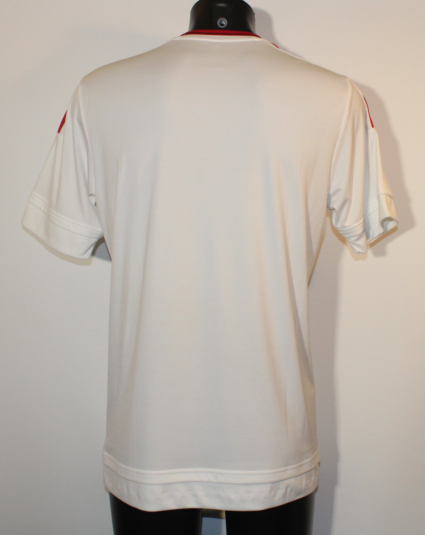 Manchester United - 2015/16