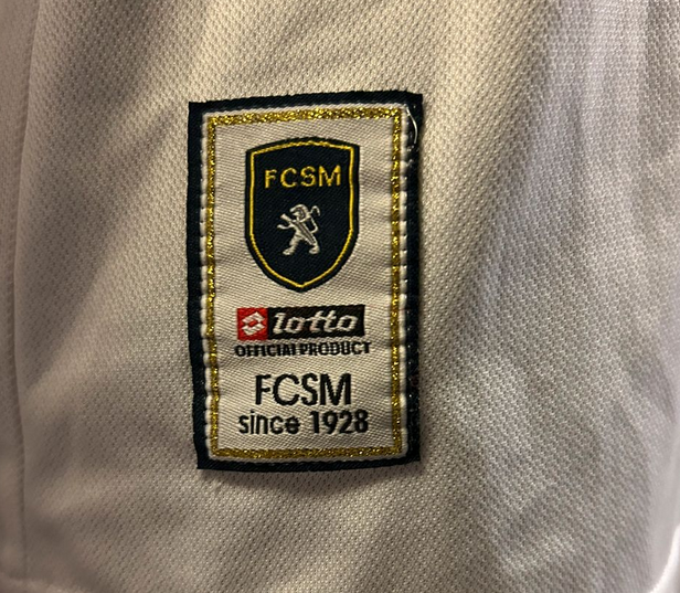 Sochaux-Montbéliard bortedrakt - 2010/11
