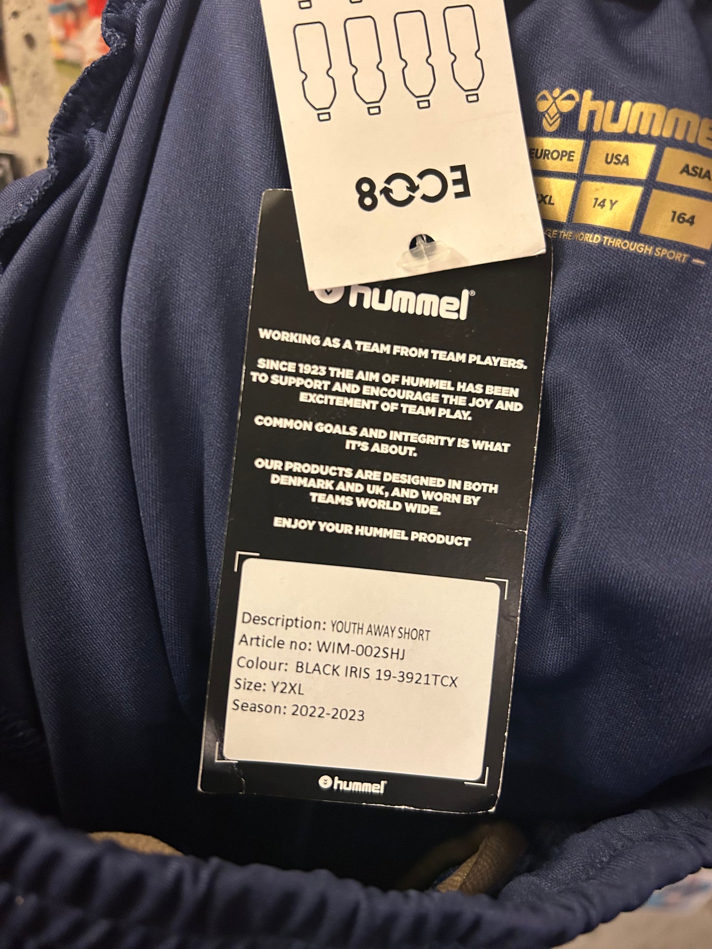 AFC Wimbledon - Shorts (13-14år)