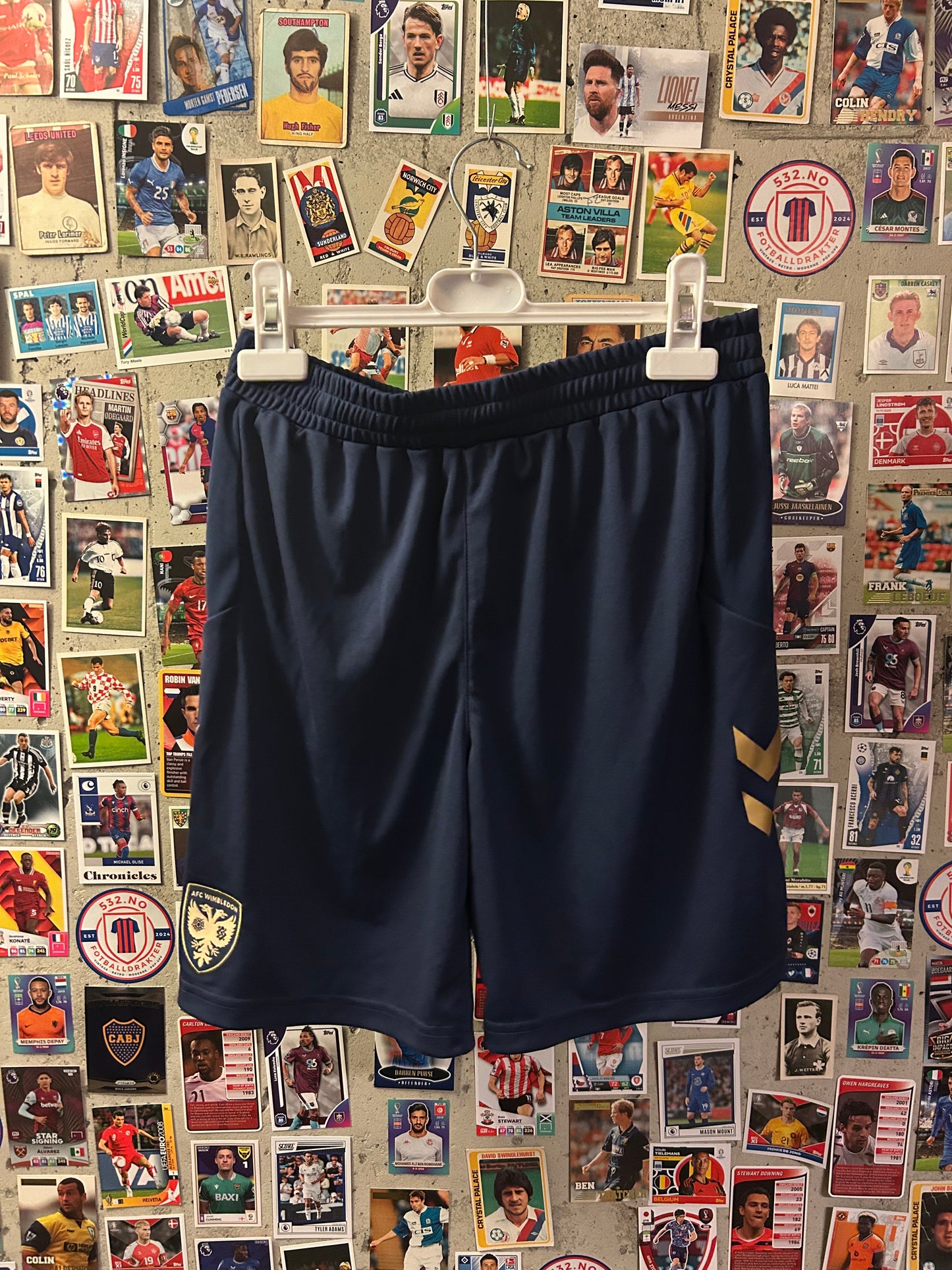 AFC Wimbledon - Shorts (13-14år)