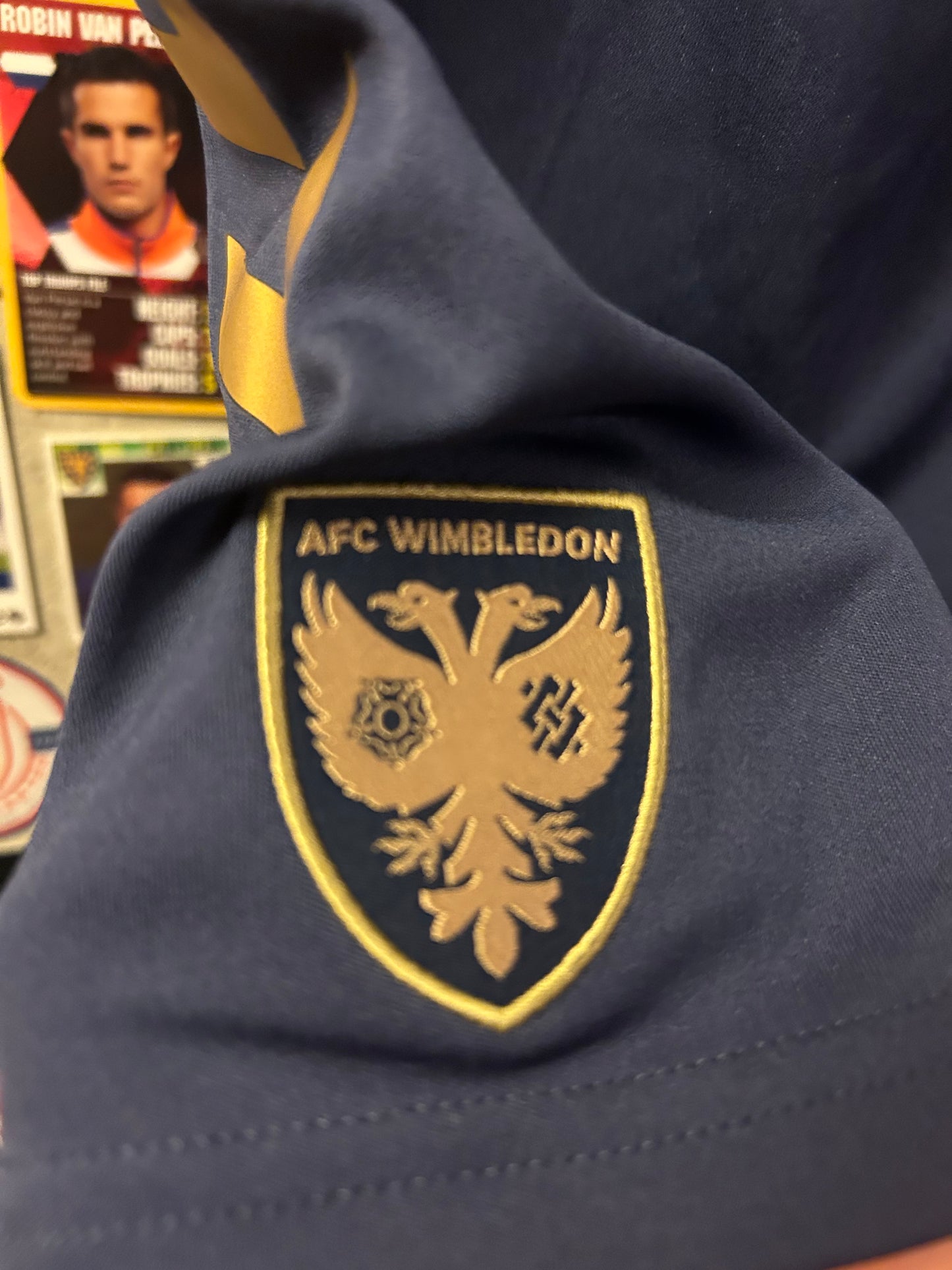 AFC Wimbledon - Shorts (13-14år)