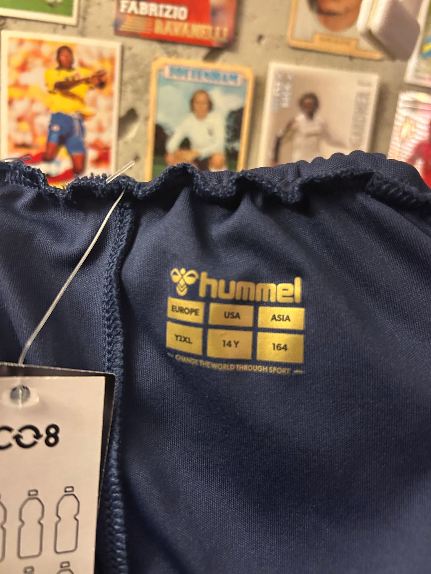 AFC Wimbledon - Shorts (13-14år)