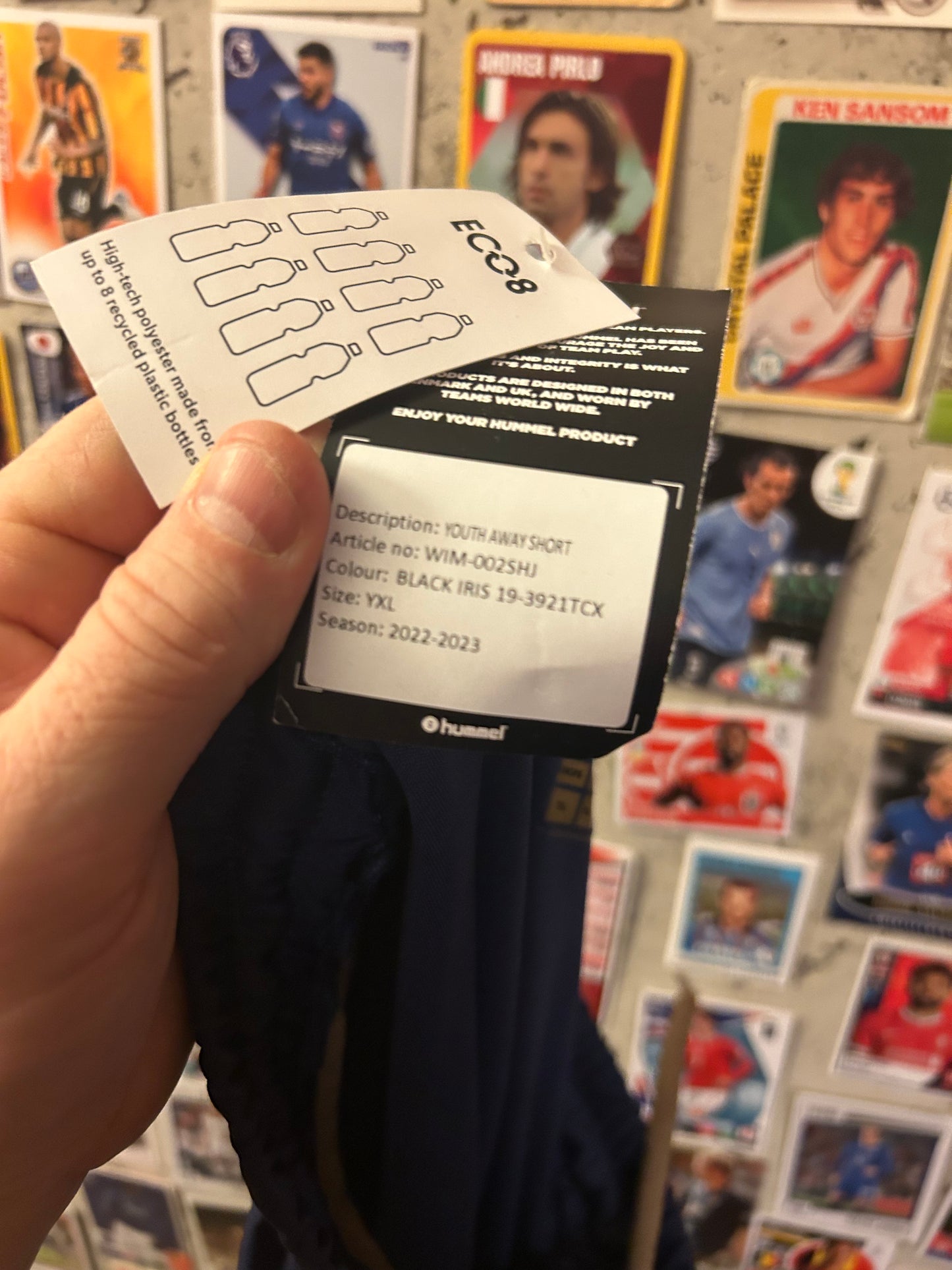 AFC Wimbledon - Shorts (12-13år)