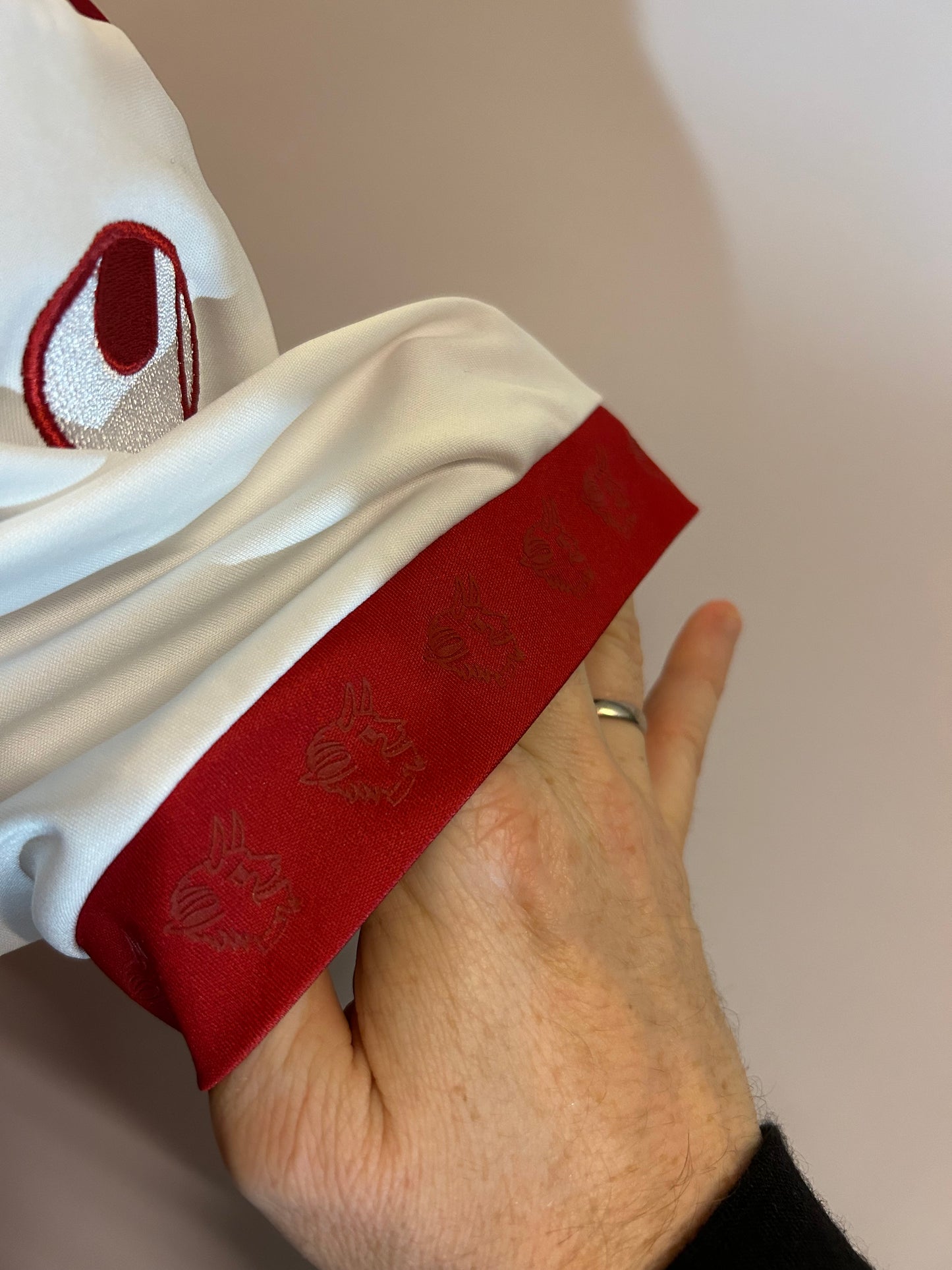 FC Kaiserslautern - 2018/19
