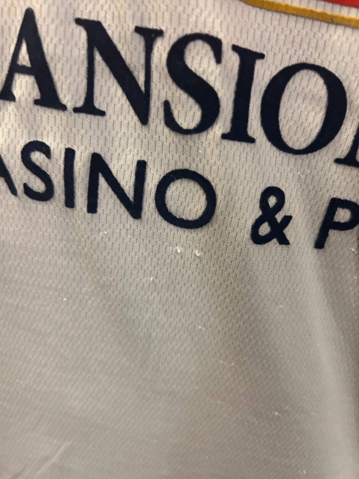 Tottenham Hotspurs - 2009/10 (XXL)