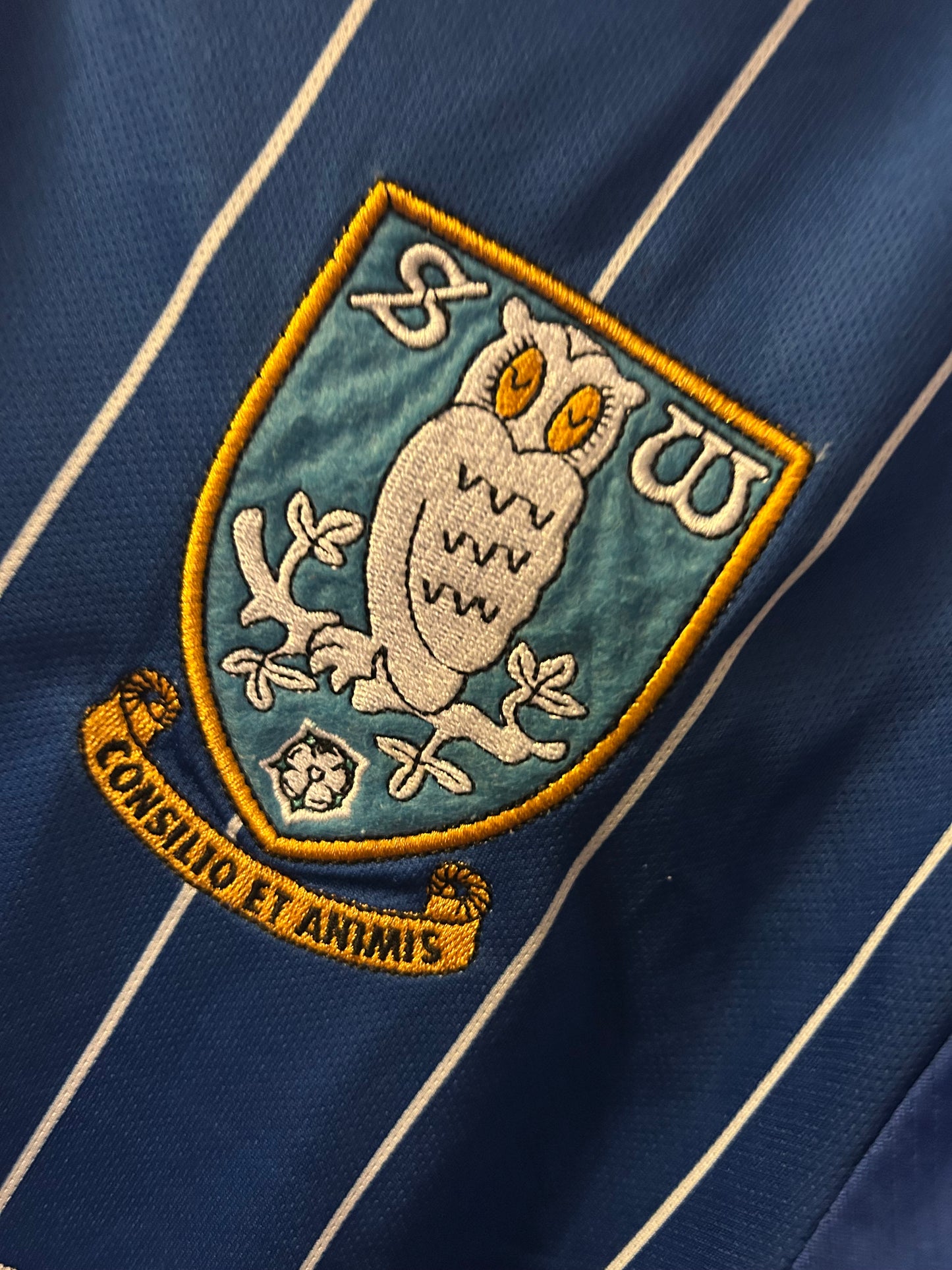 Sheffield Wednesday - 2016/17 (M)