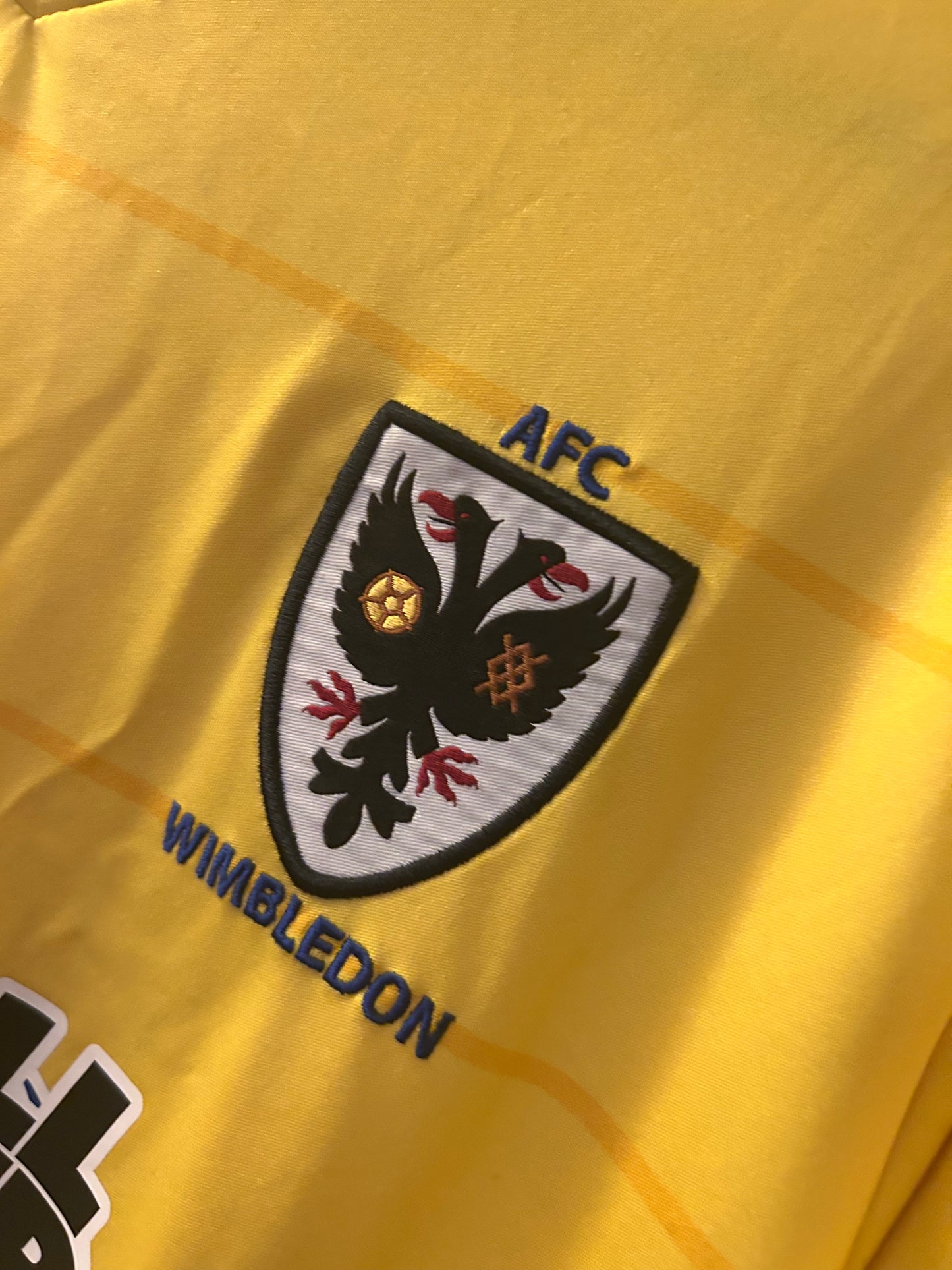 AFC Wimbledon - 2016/17 (L)