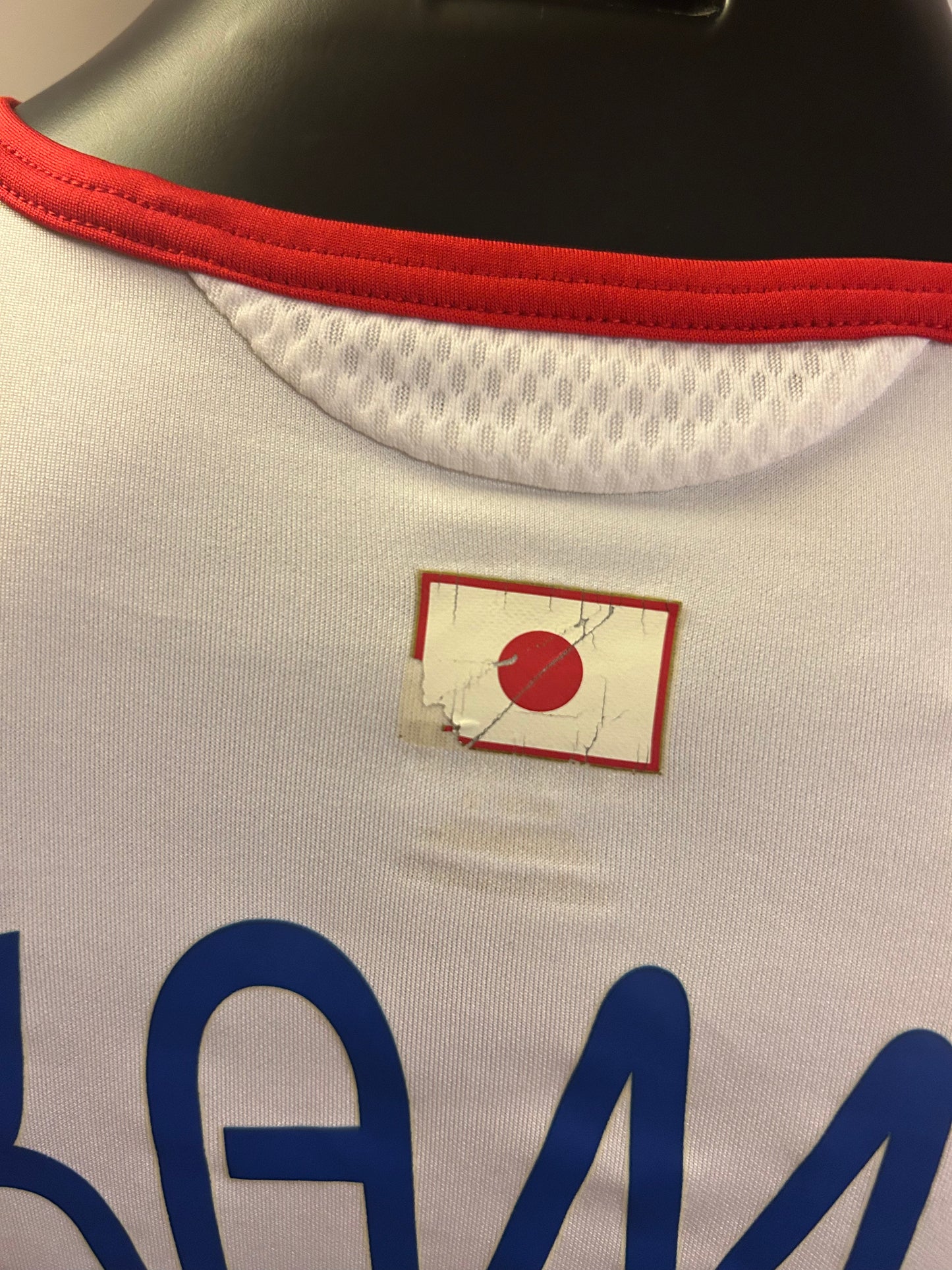 Japan - 2006/07 (L)